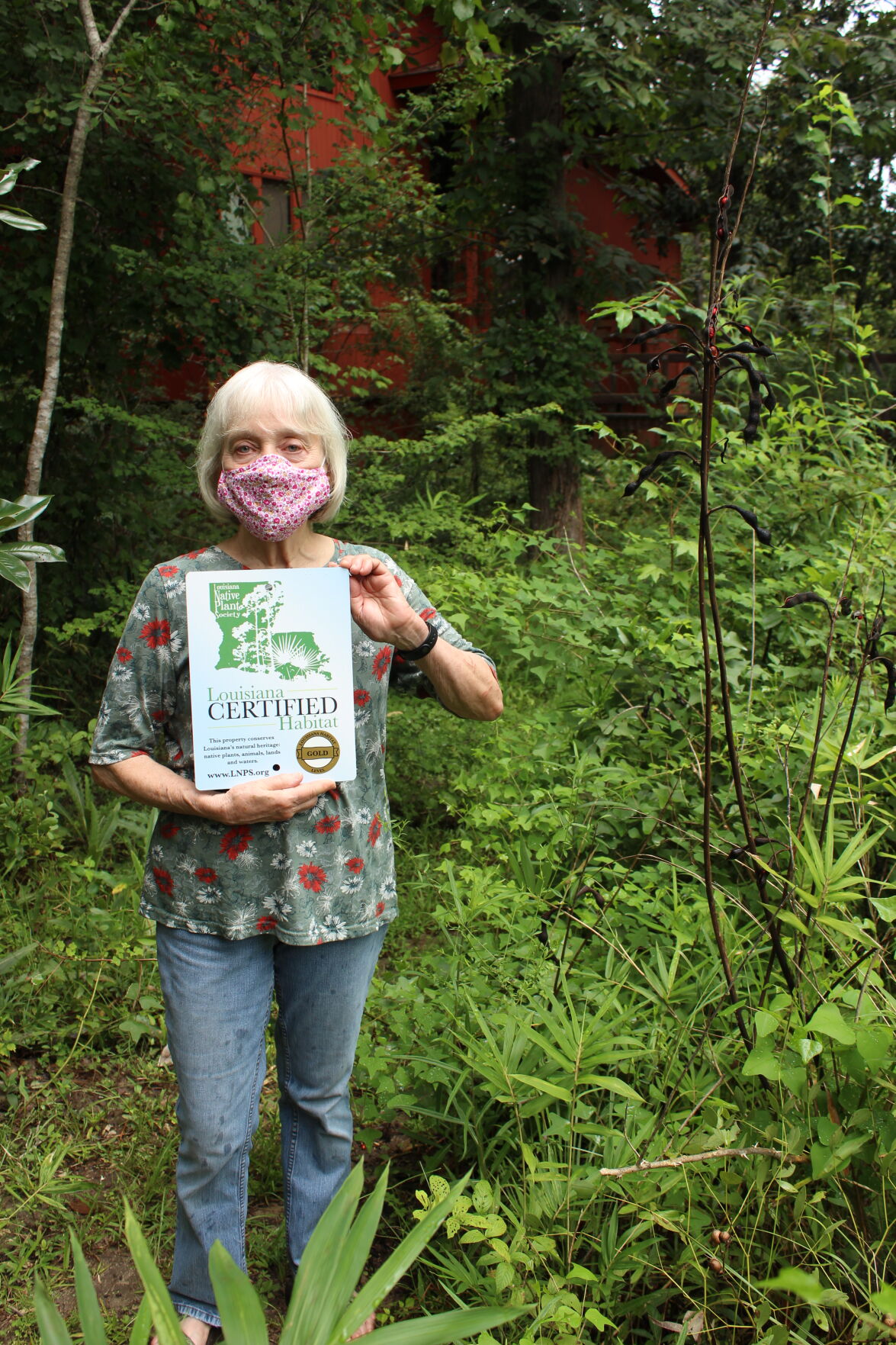 outdoor center covington la on The Covington Homeplace Of Naturalist Charlotte Seidenberg Gets Another One For The Wall St Tammany Community News Nola Com