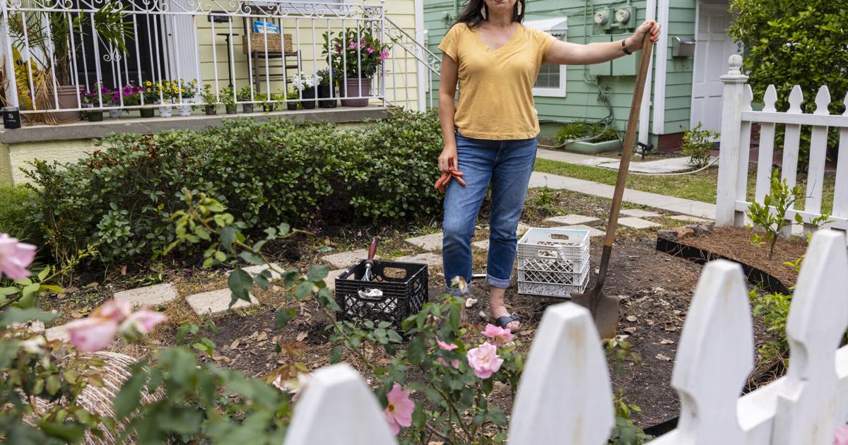 Why is my garden full of oyster shells? Curious Louisiana digs in. Why is my garden full of oyster shells? Curious Louisiana digs in.