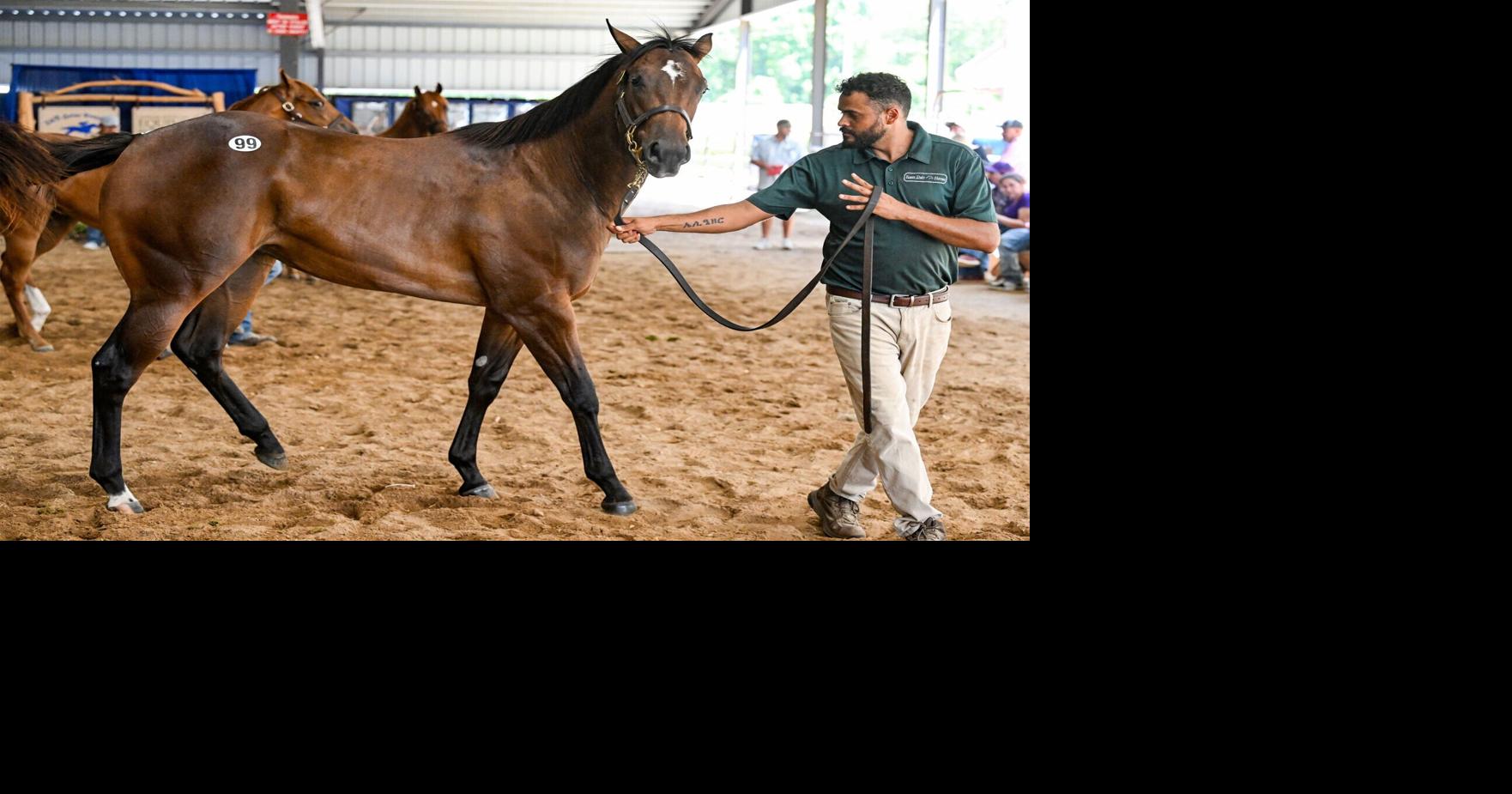 50th annual Louisiana racehorse auction generates more than $6.2M in sales at Coushatta casino resort