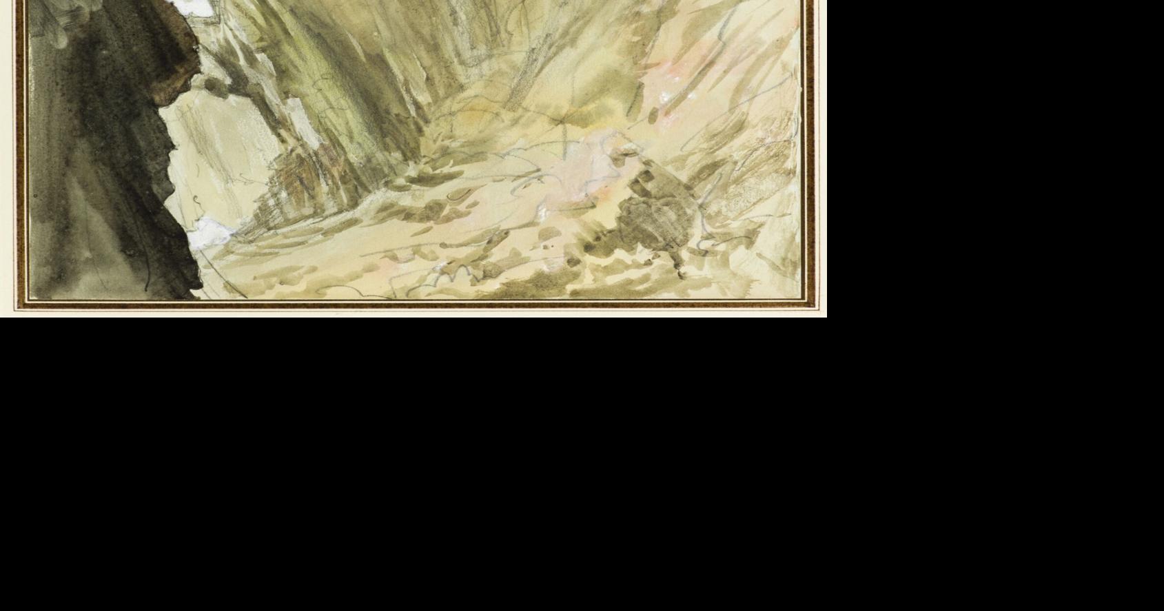 As photography emerged, drawings of nature became more realistic | Arts ...