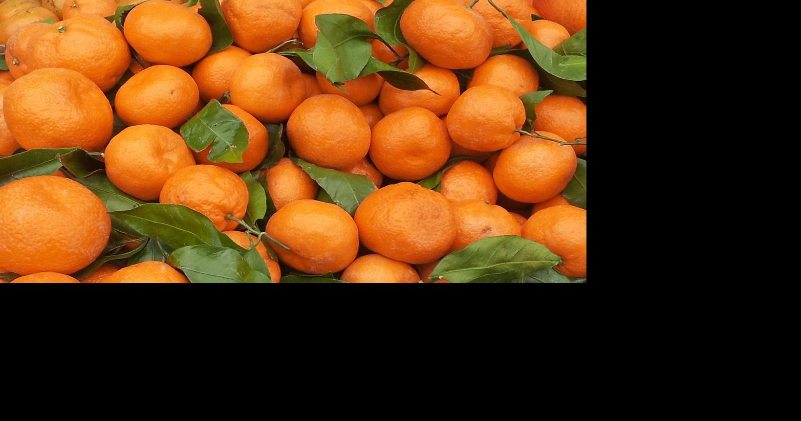 Farmers Markets help set holiday tables in St. Tammany Parish