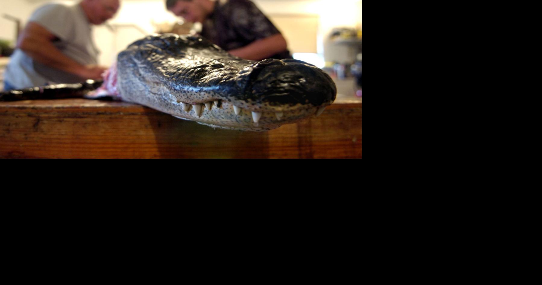 Alligator skinning