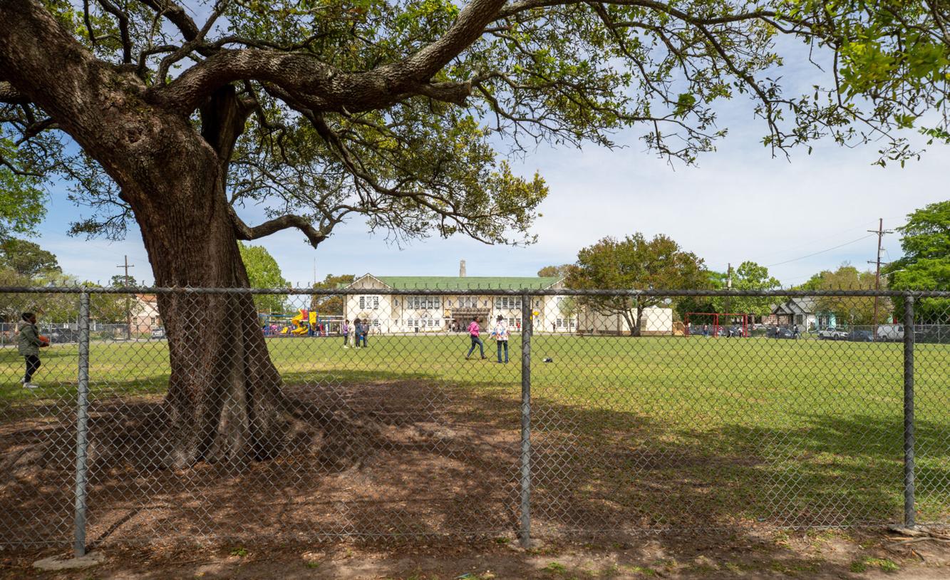 Green space next to Audubon Gentilly to park Education