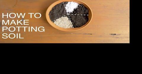 Starting a container garden? Here's the easy way to make your own potting  mix | Home/Garden | nola.com