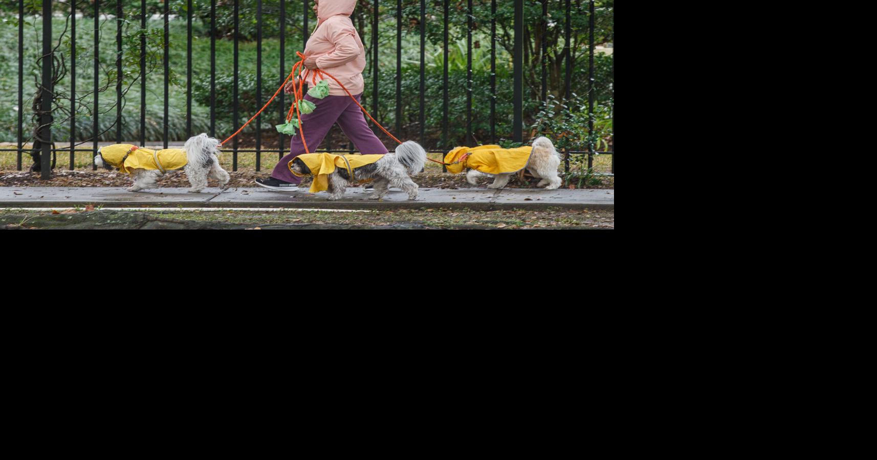 New Orleans area governments announce closures ahead of freeze. See list.