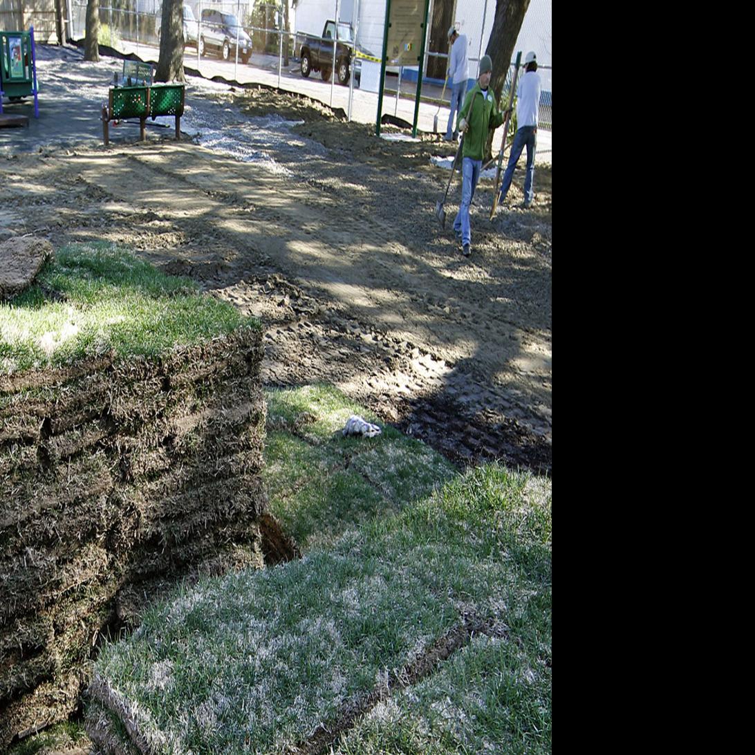 Take Your Louisiana Lawn From Ugly To Elegant This Spring A How