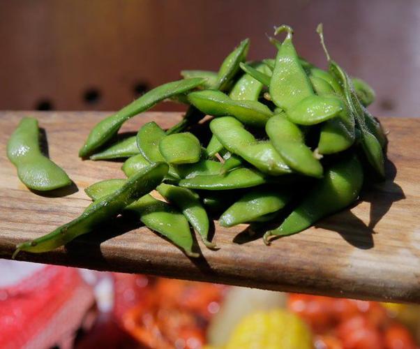 15 summer vegetables to plant now in South Louisiana gardens Home