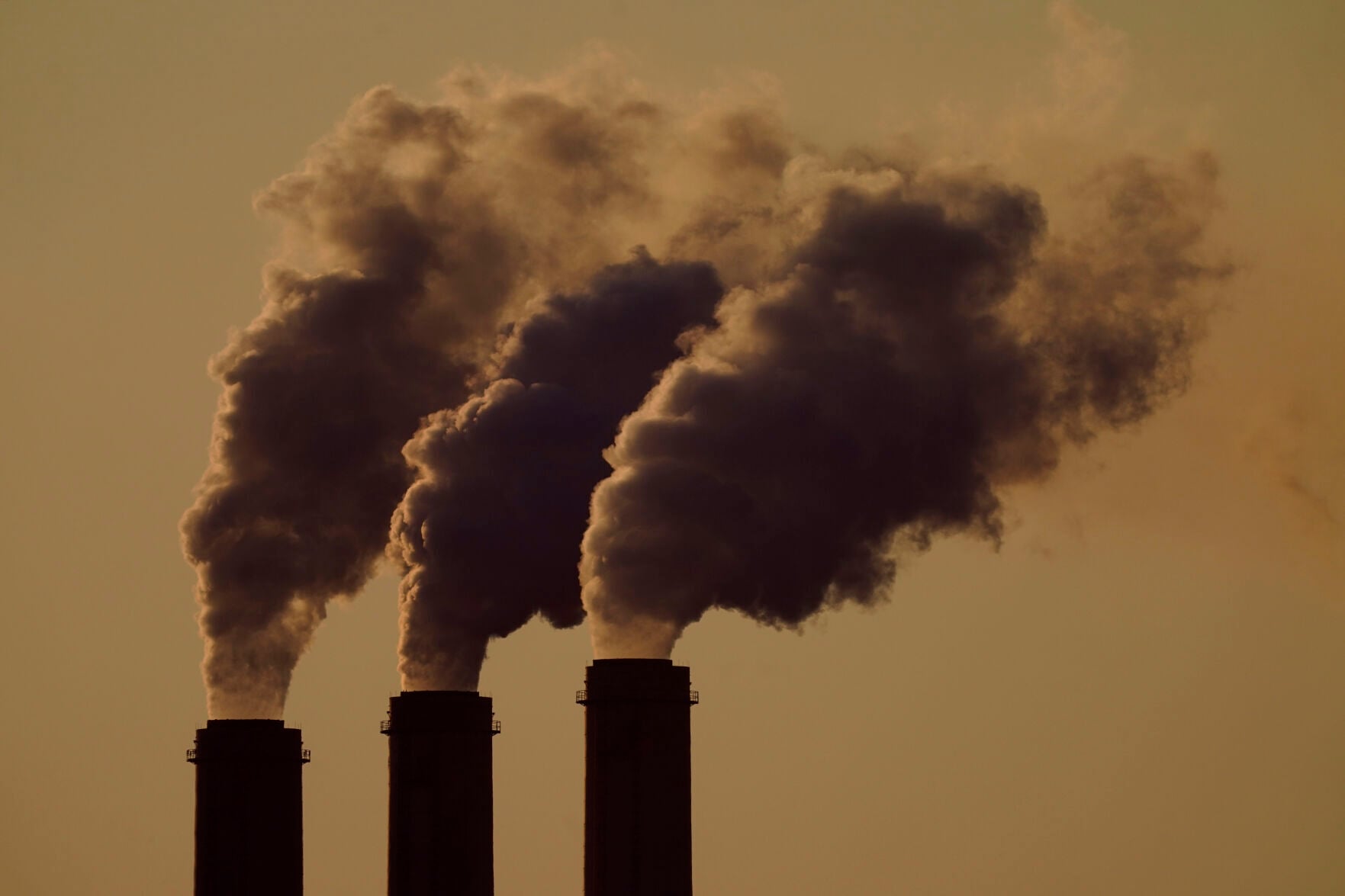 nola.com - Bob Marshall - Bob Marshall: Symptoms of government's denial of climate change reality are everywhere