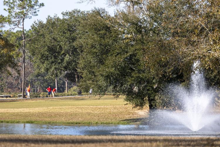 Money Hill eyes growth on thousands of northshore acres One Tammany