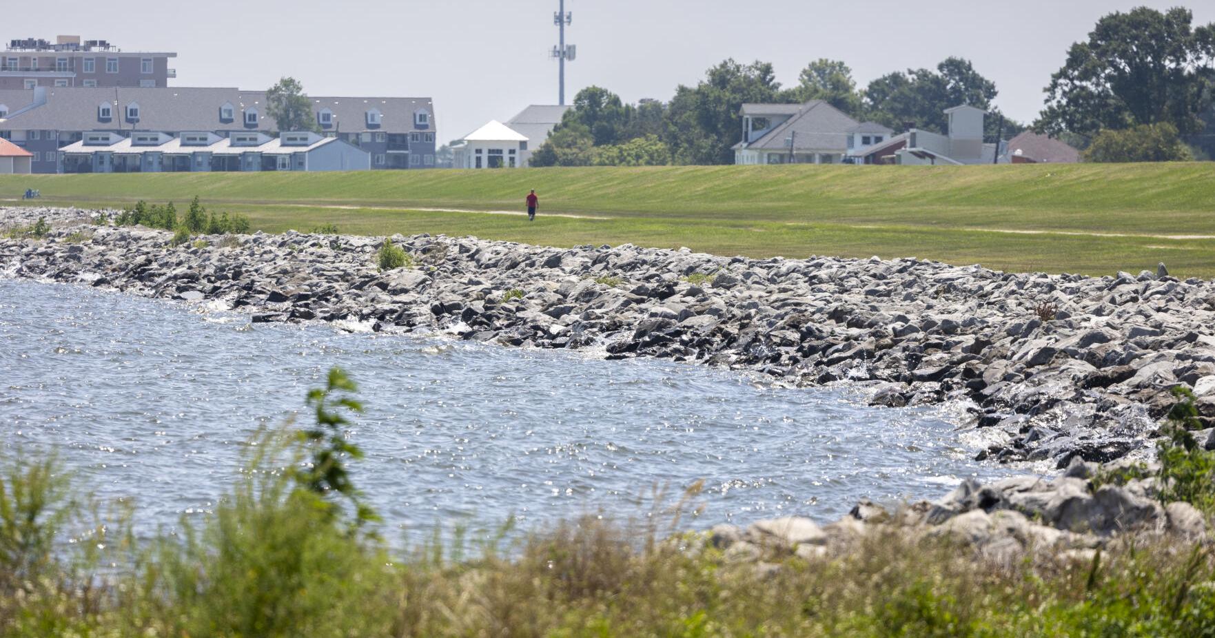 Bucktown living shoreline expected to break ground in July | Jefferson Parish - Vimarsana News