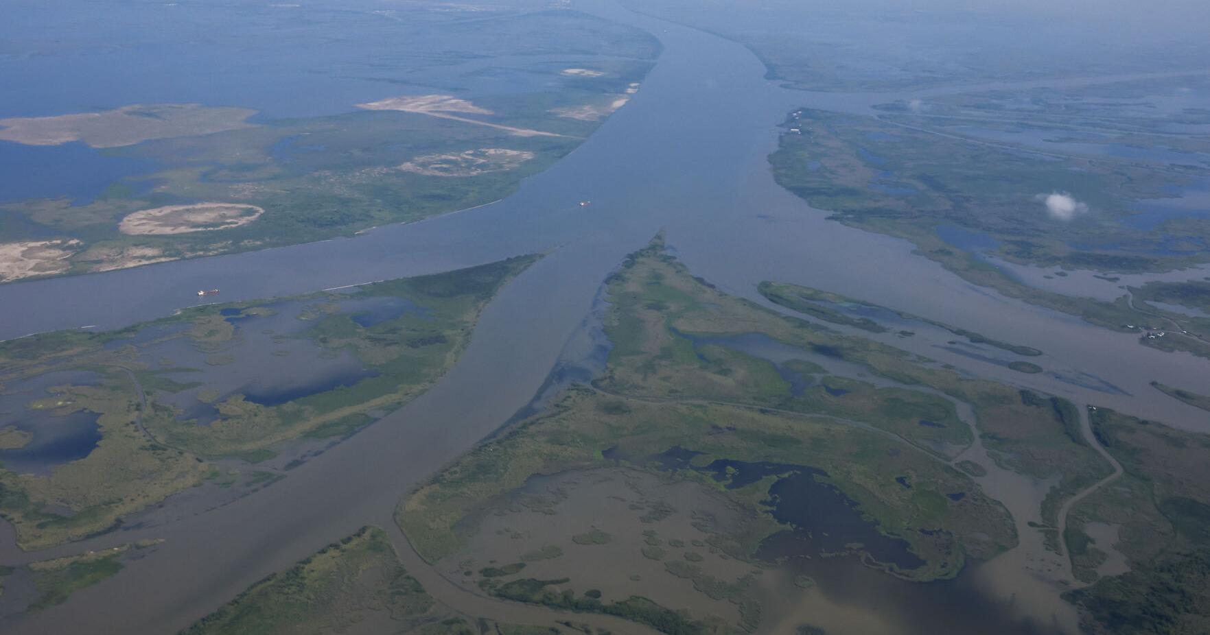 Major grant to plan future of Louisiana Bird's Foot Delta | Environment - Vimarsana News