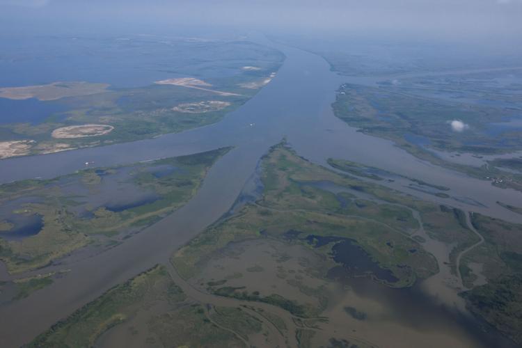 Mississippi River delta