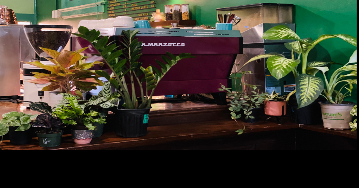Undergrowth Coffee closes for good in Uptown New Orleans | Where NOLA Eats