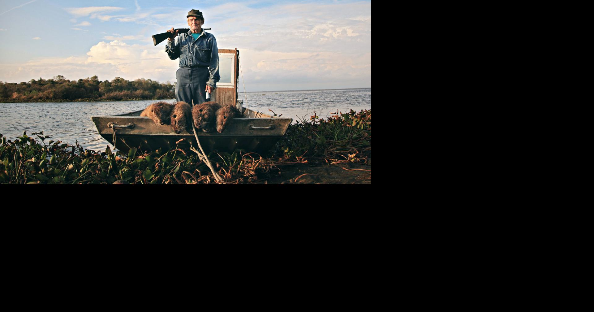 Nutria bounty (yes, the nutria bounty) in Louisiana rises after 'uptake