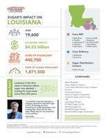 Economic impact of sugarcane in Louisiana