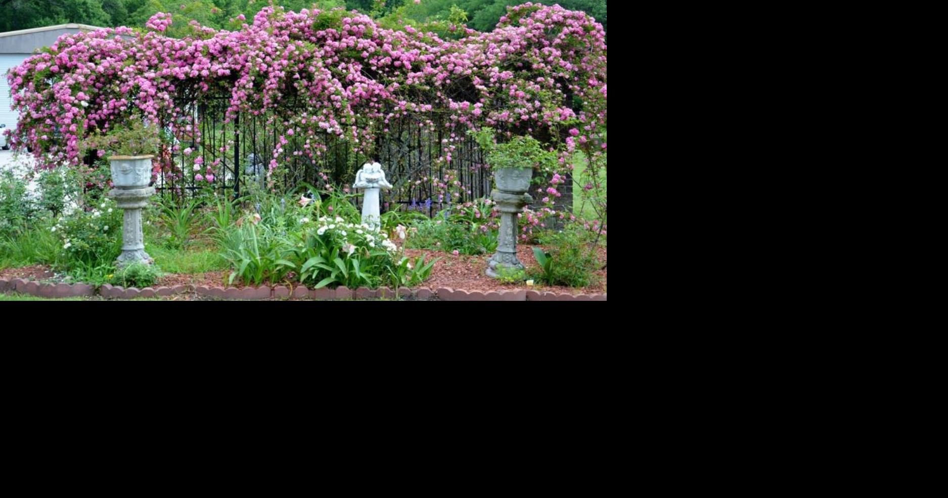 Attend spring gardening events in Covington, Mandeville