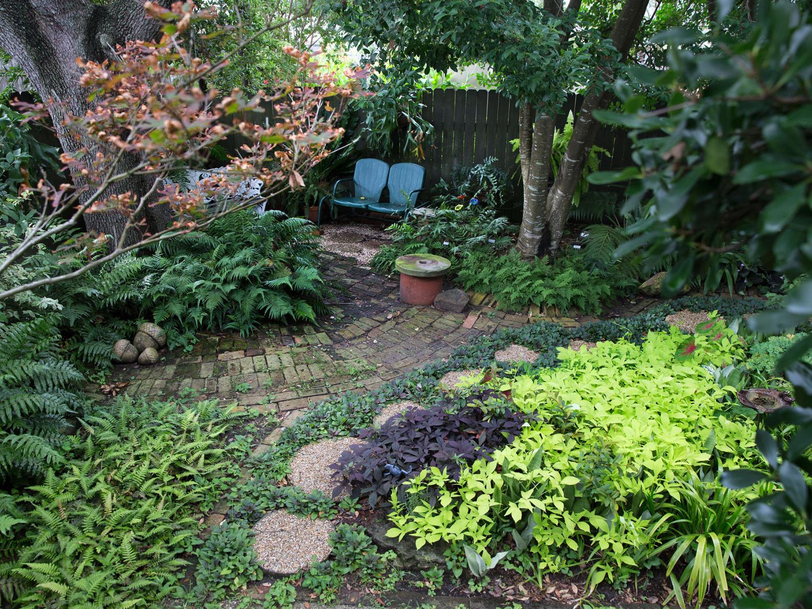 New Orleans Area Landscape, Landscape Plants For Shaded Areas