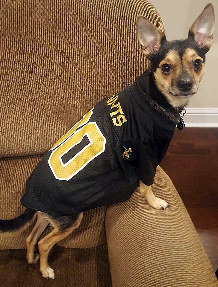 New Orleans Saints Running Dog Costume