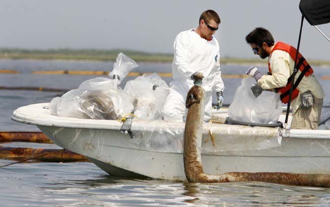 BP spill workers