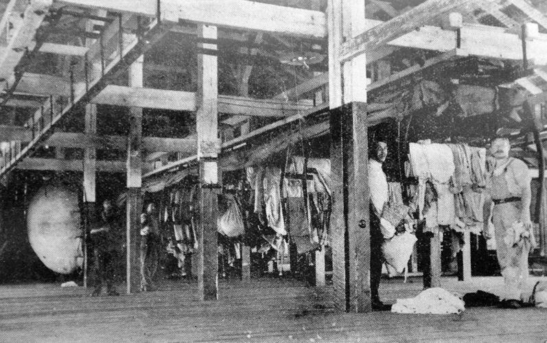 How New Orleans cured itself of yellow fever 300 for 300