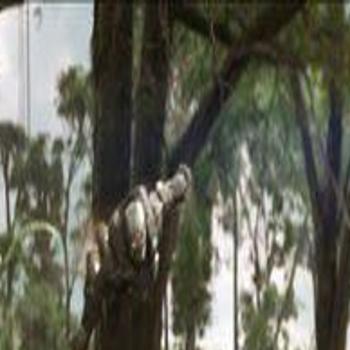 Spring Movie Preview 2018 12 Sequels Spinoffs Remakes And Ripoffs Movies Tv Nola Com Rubbish a poor attempt to remake a classic funny well looked film. nola com