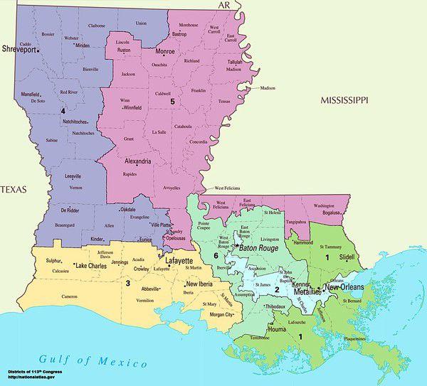 Here's who is running for Congress in Louisiana, and how much each has