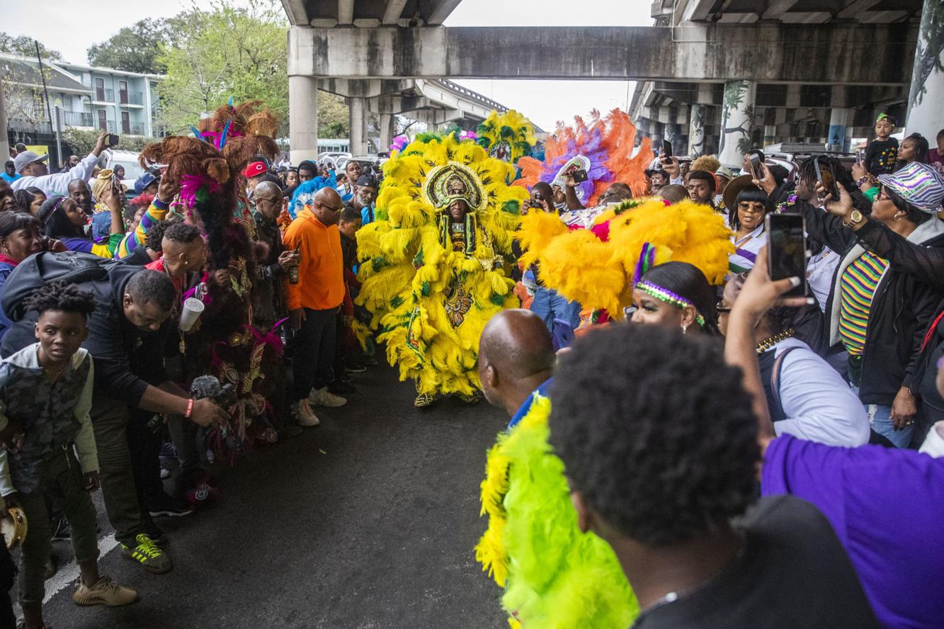 black feather mardi gras indian tribe