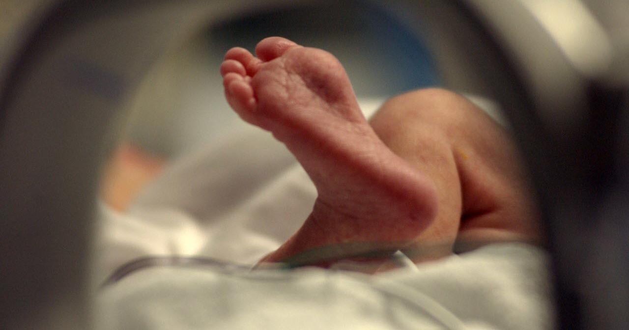 Higher health risks for LA babies in polluted areas: study | Environment - Vimarsana News