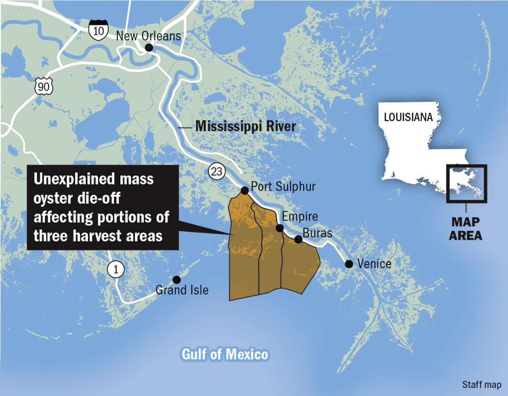 Massive, unexplained bivalve die-off sends many Louisiana oystermen ...