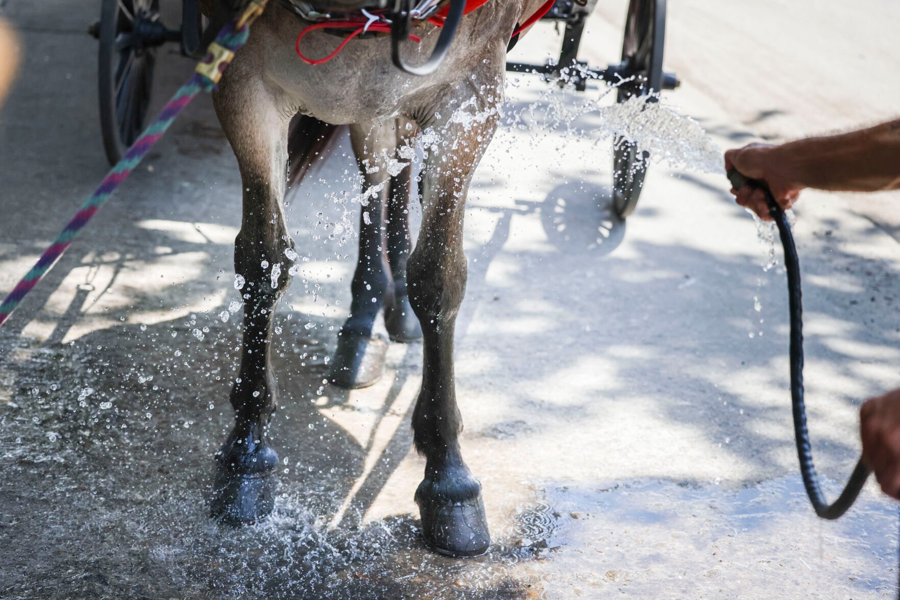 New+Orleans+Swelters+in+Record-Breaking+Heat+Wave