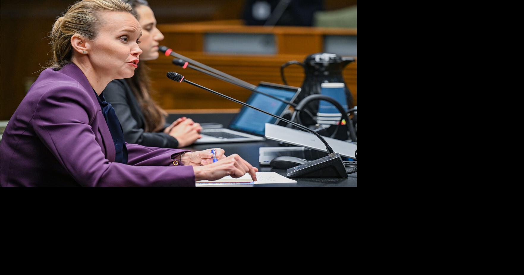 New Orleans council a step closer to controlling S&WB as bill advances