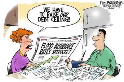 flood insurance cartoon
