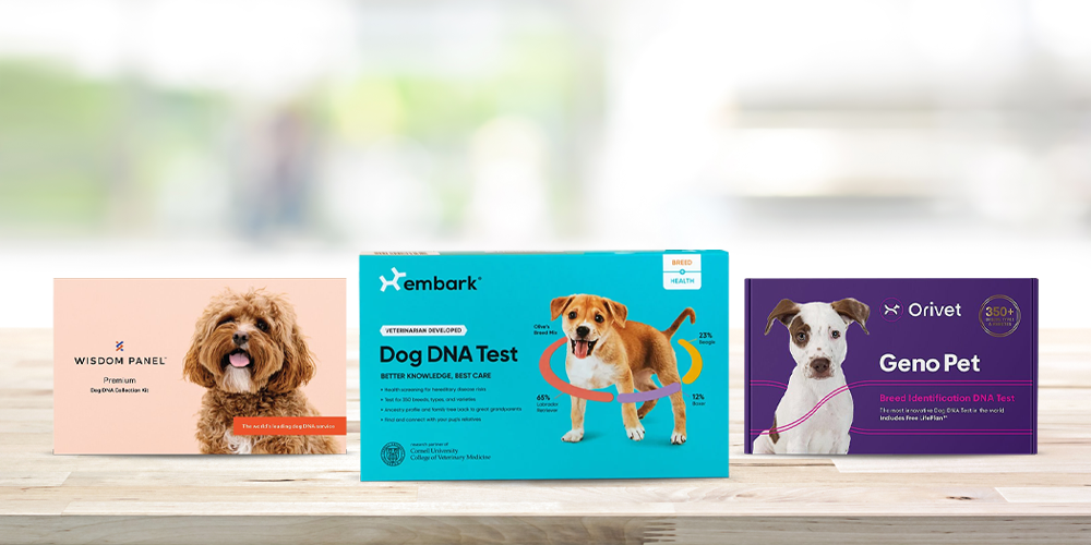 The best DNA test kits of 2023