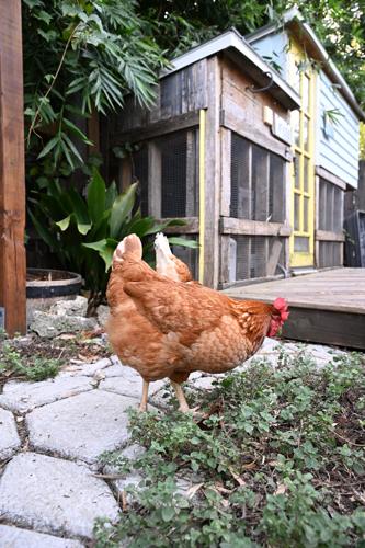 Reed 1114 November 7,2023