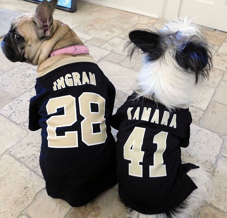 new orleans saints dog jersey