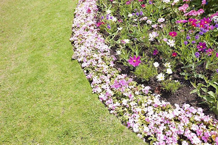 Assess the summer's damage to trees, shrubs and flower beds | Home ...