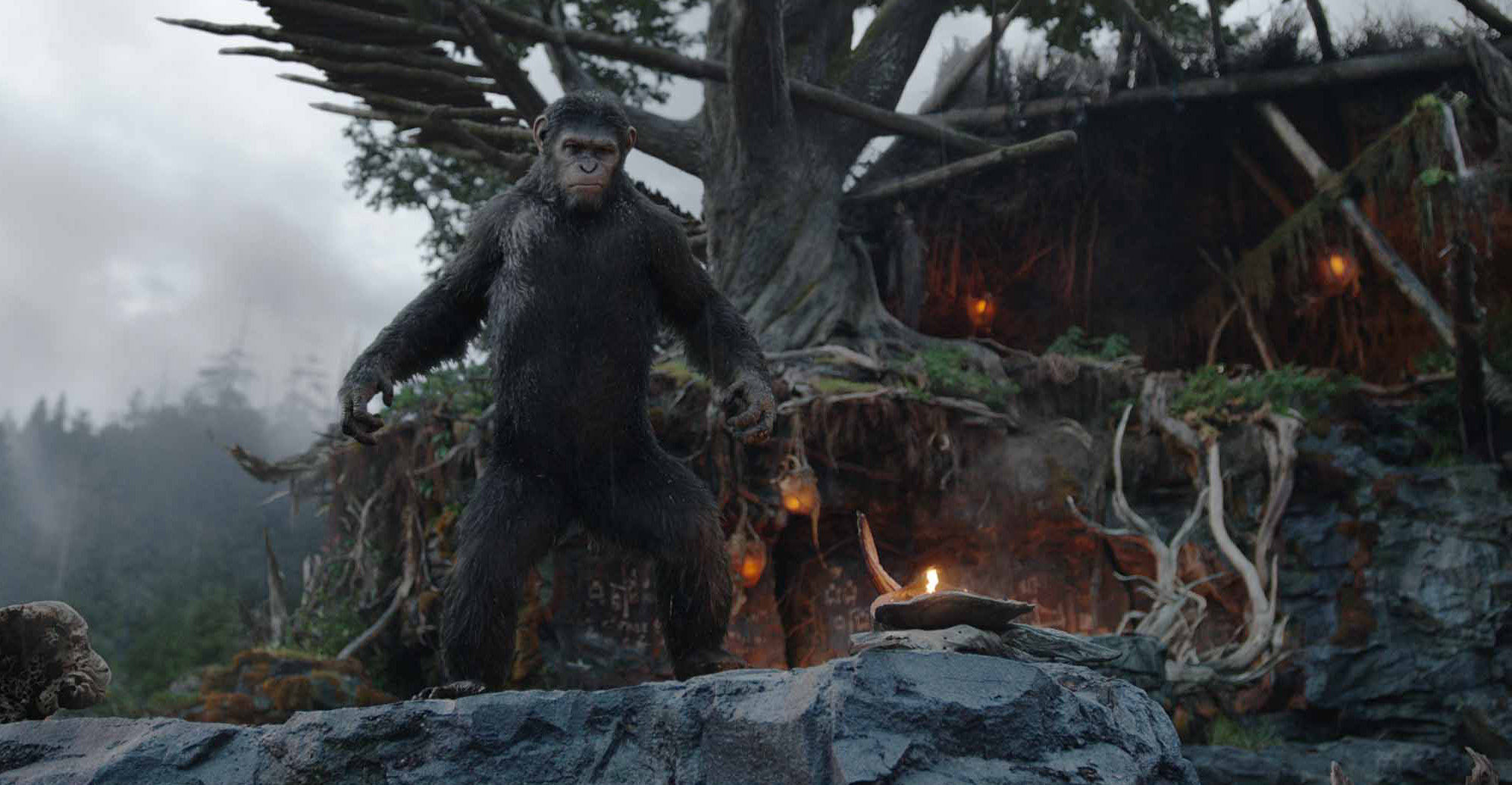 Dawn of the Planet of the Apes' shooting locations cheat sheet