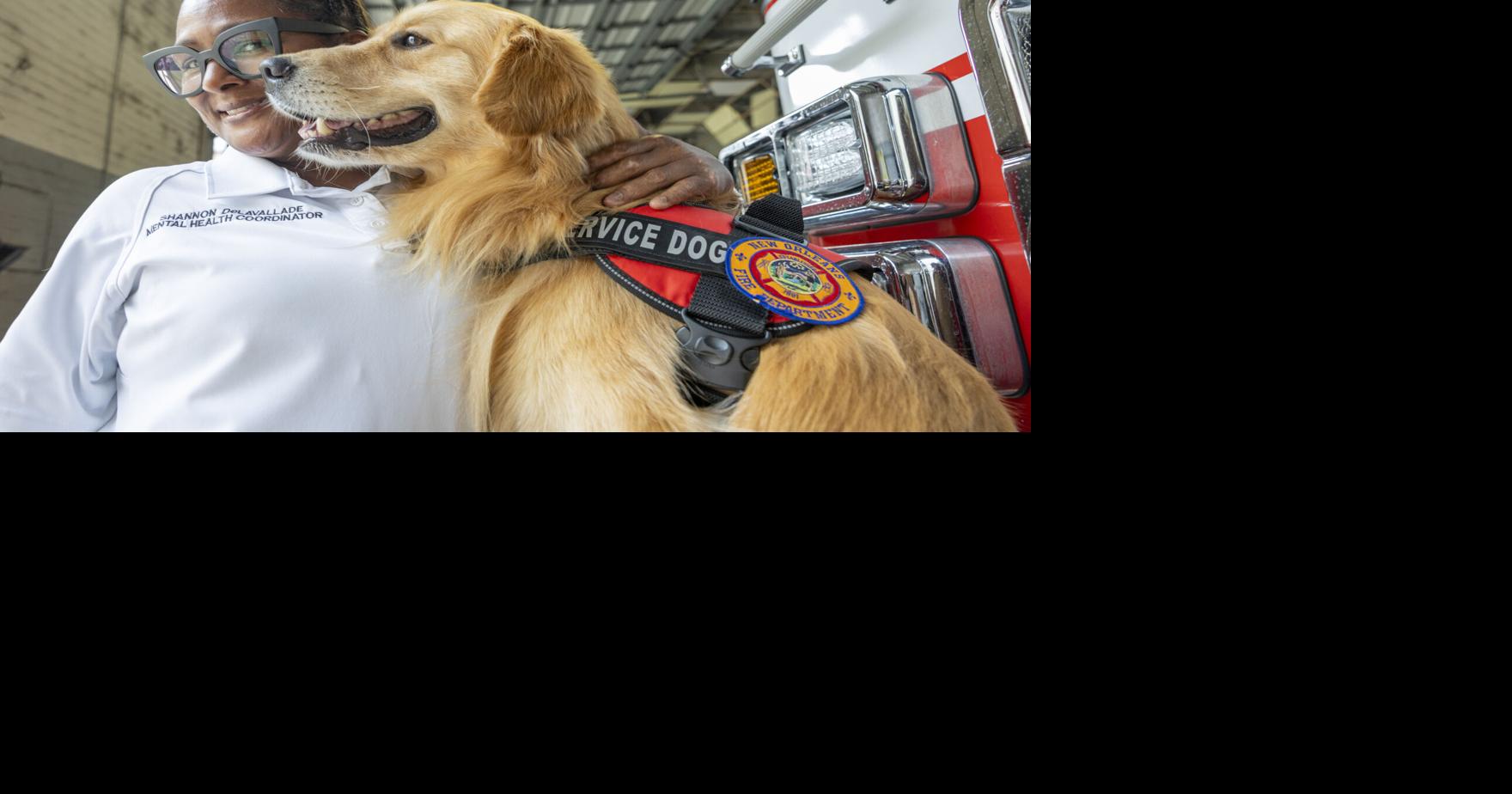 For New Orleans firefighters stressed by their jobs, help begins with four legs and a cold nose