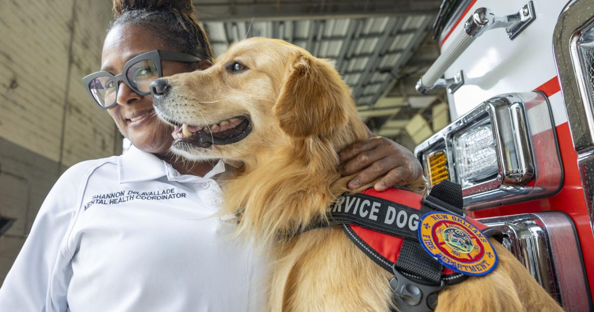 For New Orleans firefighters stressed by their jobs, help begins with four legs and a cold nose