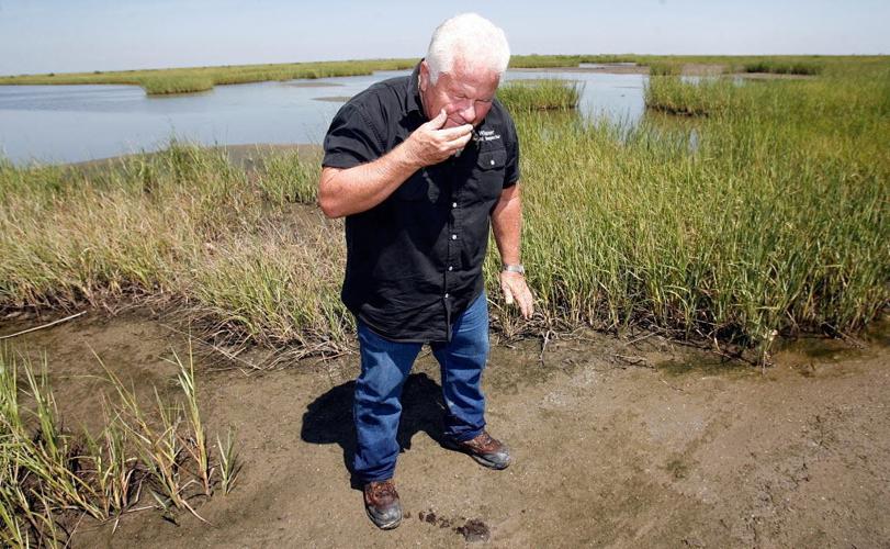 Wisner Trust to receive 30 million over 21 years from BP Environment