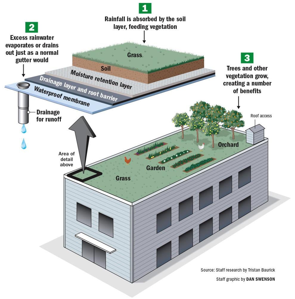 green roof case study pdf