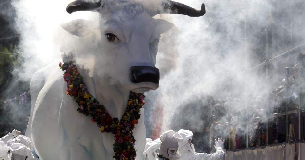 The Rex parade’s meaty Boeuf Gras float gets a major overhaul in time for Mardi Gras 2027