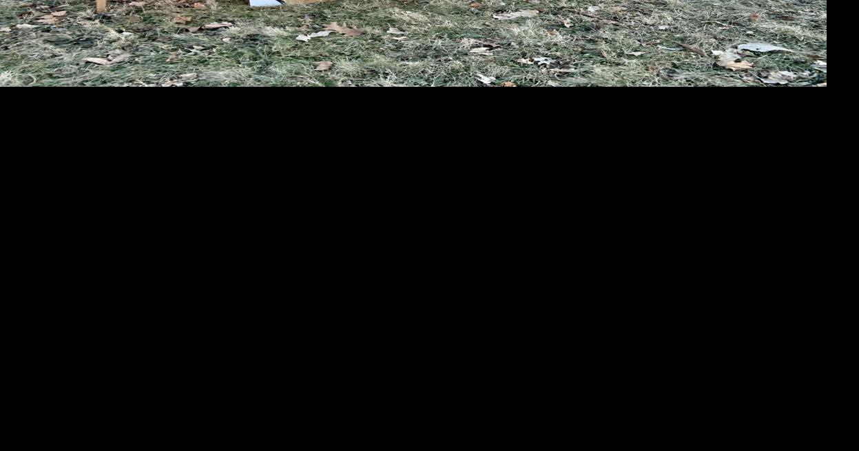 2022 Krewe of House Floats Week 2