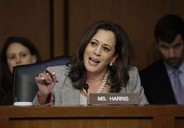 Election 2024 Harris