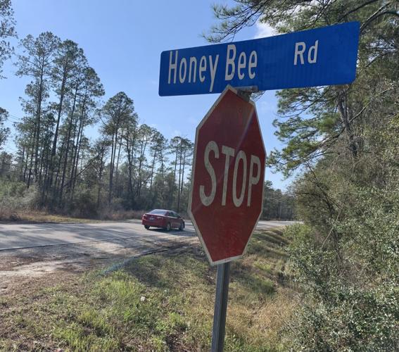 Honey Bee Road