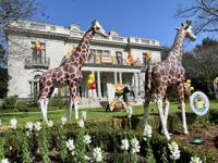 'Circus,' Mardi Gras house float, 5531 St. Charles Ave., STAFF PHOTO BY DOUG MacCASH 3.jpeg