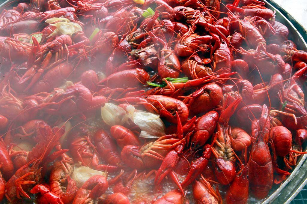 It's crawfish season in Louisiana. Where are you going to eat them
