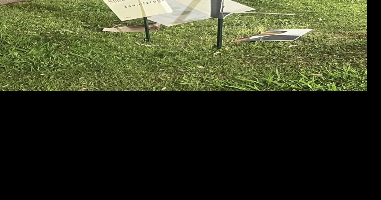 New Orleans legislative candidate’s campaign signs destroyed