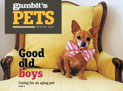 Gambit S Pets Winter 2016 Pets Nola Com