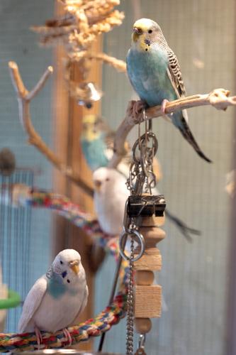 Artist 18 October 5,2023